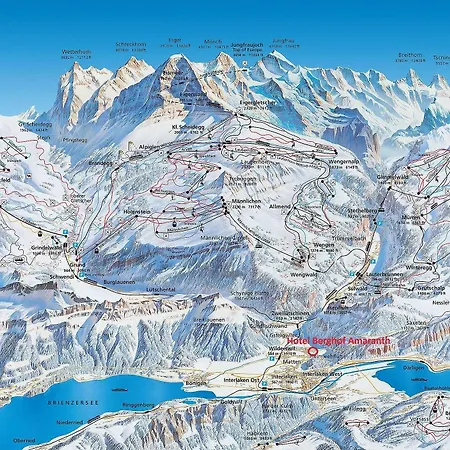 ベルクホフ アマランス ヴィルダースヴィル