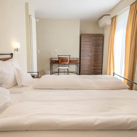 ベルクホフ アマランス