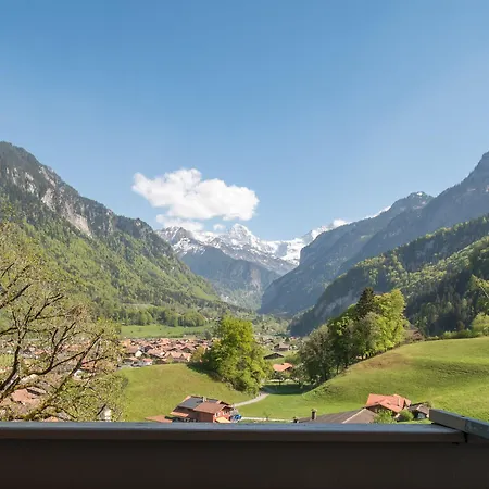 ベルクホフ アマランス