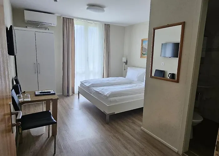 酒店 贝格霍夫酒店 3*