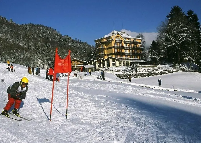 Berghof Amaranth 3* Wilderswil